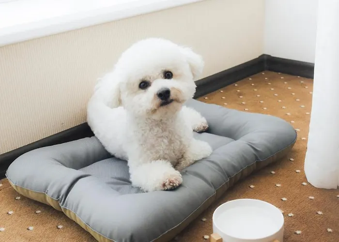 Hotel Alexandrovskiy 4*