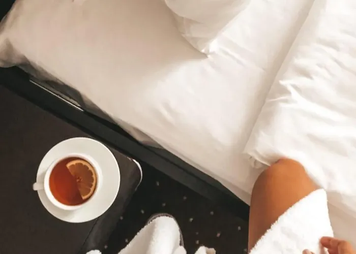 Alexandrovskiy Hotell 4*